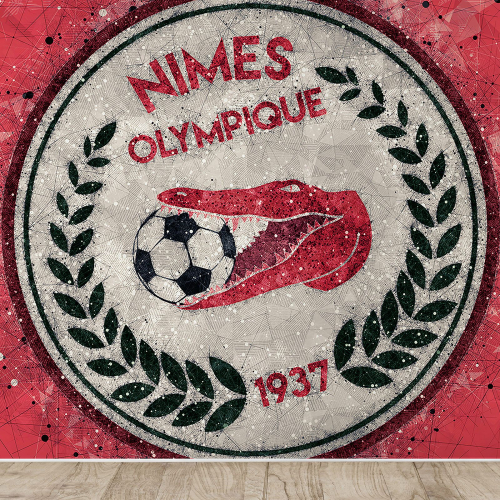Papier peint panoramique Foot / Football - Nimes Olympique