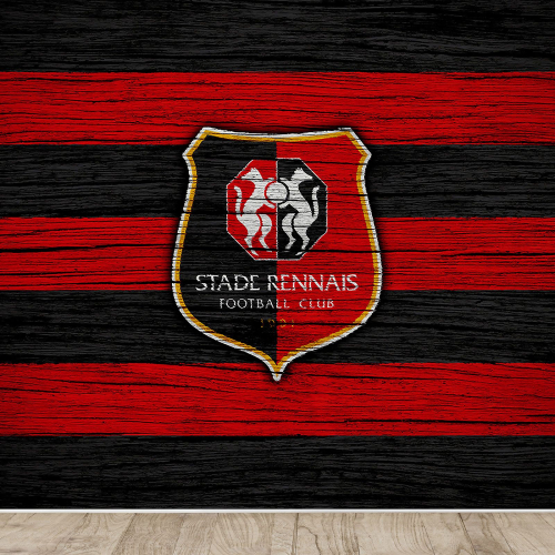 Papier peint panoramique Foot / Football - Stade Rennais