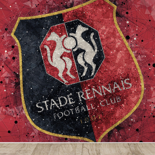Papier peint panoramique Foot / Football - Stade Rennais