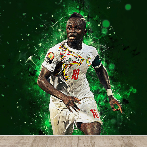 Papier peint panoramique Football - Joueur de Foot