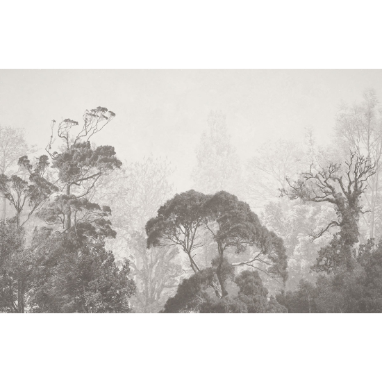 Papier peint panoramique - Forêt Tropicale