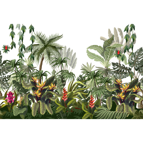 Papier peint panoramique - Forêt tropicale