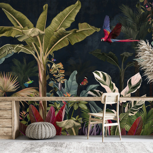 Papier peint panoramique - Forêt Tropicale Oiseaux