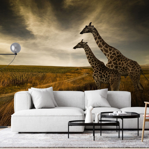 Papier peint panoramique - Girafes