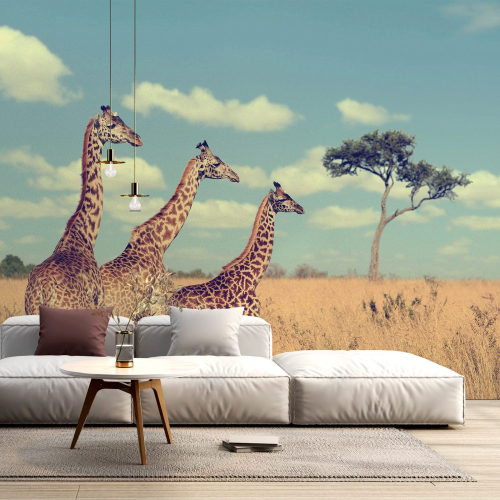 Papier peint panoramique - Girafes Savane