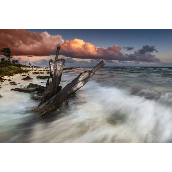 Papier peint panoramique - La mer