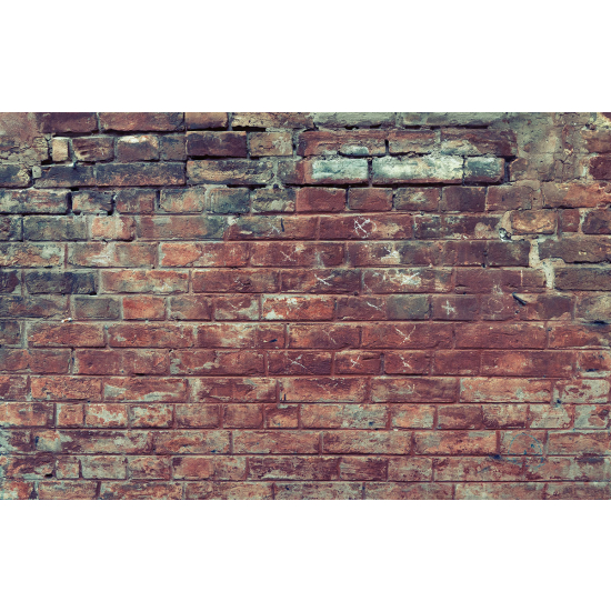 Papier peint panoramique - Mur