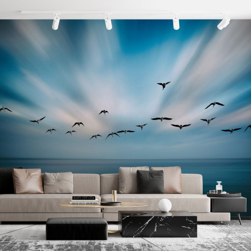 Papier peint panoramique - Oiseaux