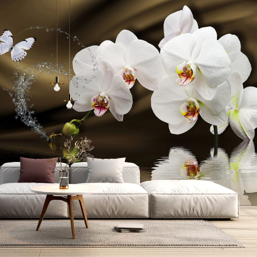 Papier peint panoramique - Orchidées