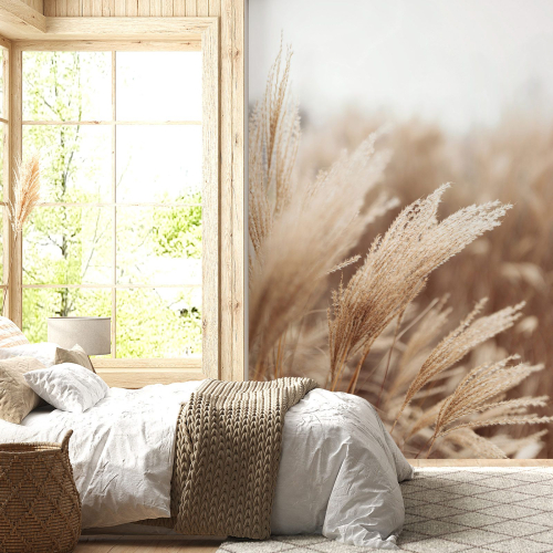 Papier peint panoramique - Pampas