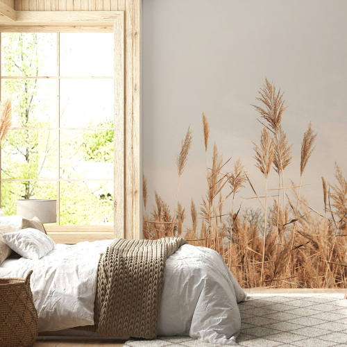 Papier peint panoramique - Pampas