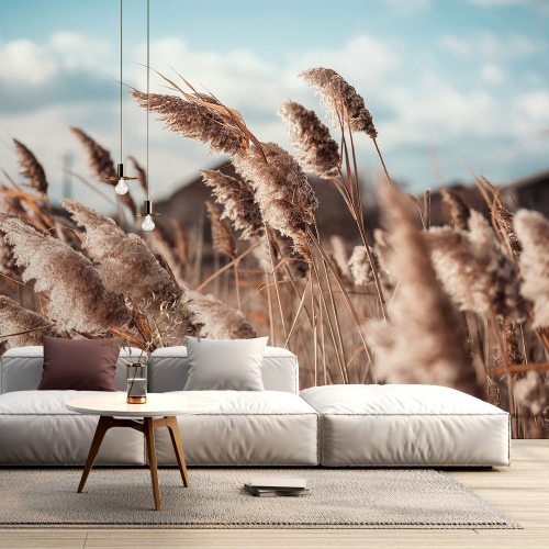 Papier peint panoramique - Pampas