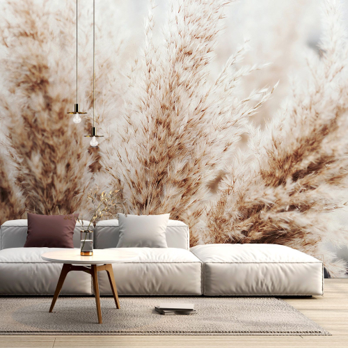 Papier peint panoramique - Pampas