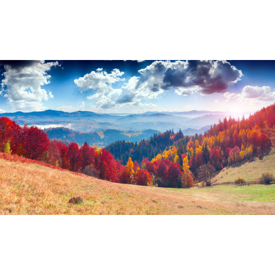 Papier peint panoramique - Paysage Automne 