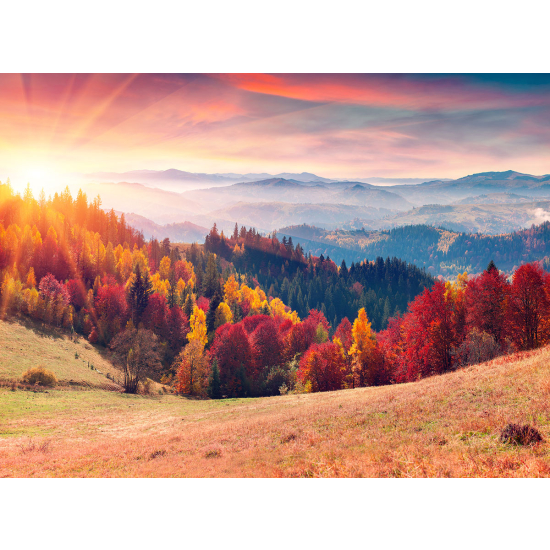 Papier peint panoramique - Paysage Automne