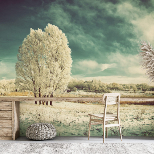 Papier peint panoramique - Paysage Hiver