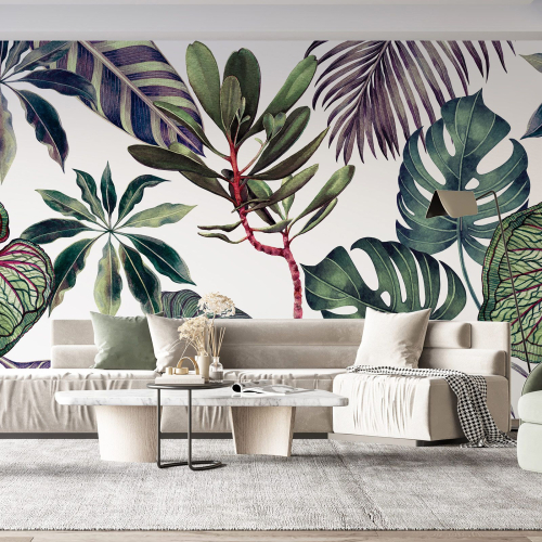 Papier peint panoramique - Plantes Tropicales
