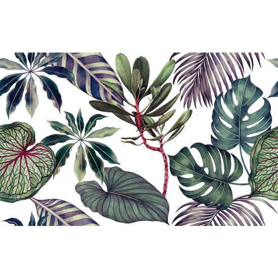 Papier peint panoramique - Plantes Tropicales