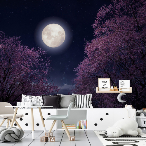Papier peint panoramique - Pleine Lune