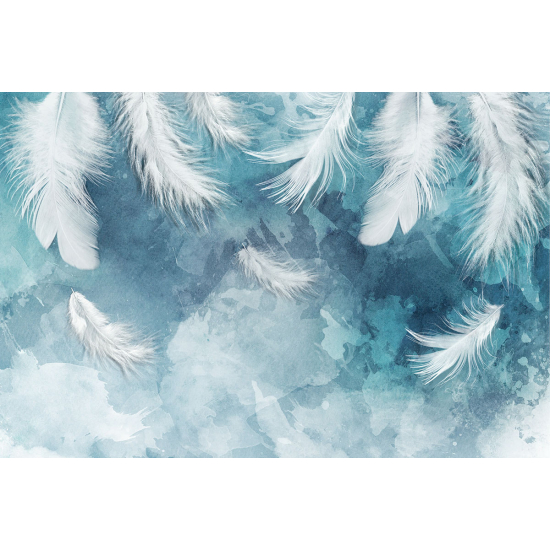 Papier peint panoramique - Plumes
