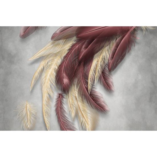 Papier peint panoramique - Plumes