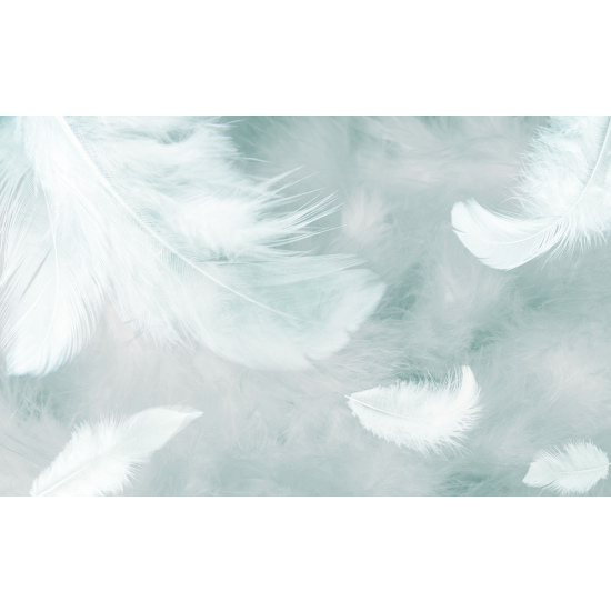 Papier peint panoramique - Plumes