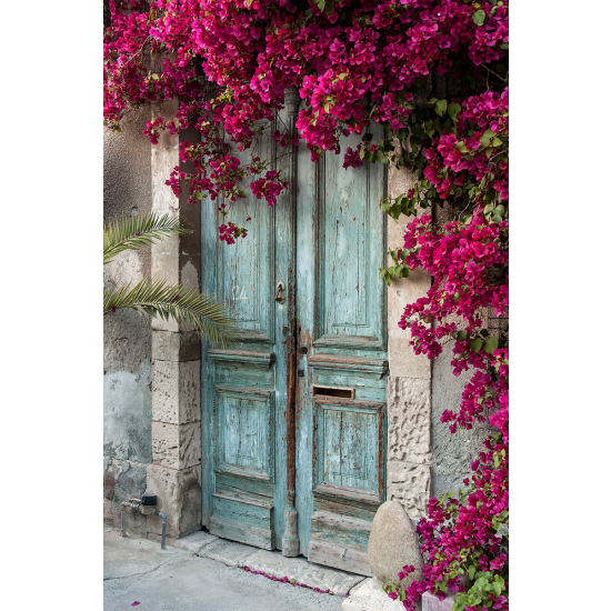 Papier peint panoramique - Porte Fleurs