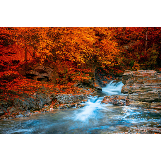 Papier peint panoramique - Rivière Automne