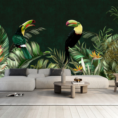 Papier peint panoramique - Toucans