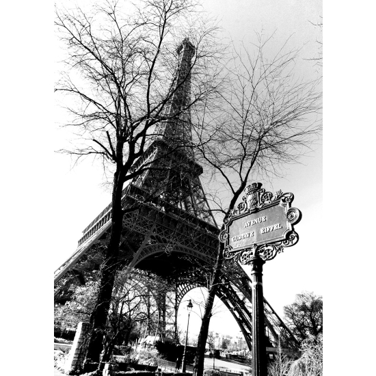 Papier peint panoramique - Tour Eiffel Noir et Blanc
