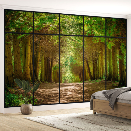 Papier peint panoramique Trompe l'œil Verrière - Chemin forêt