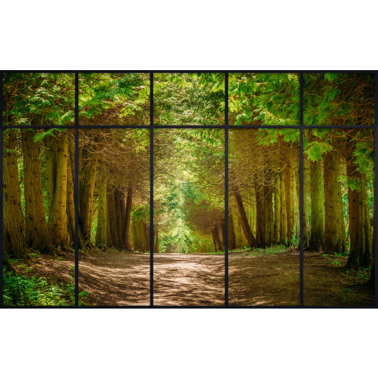 Papier peint panoramique Trompe l'œil Verrière - Chemin forêt