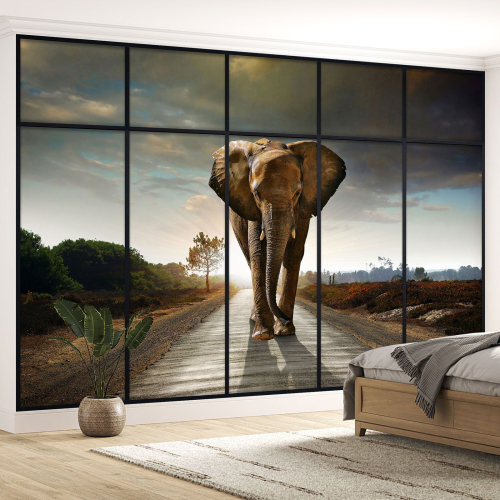 Papier peint panoramique Trompe l'œil Verrière - Éléphant