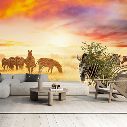 Papier peint panoramique - Zèbres Savane