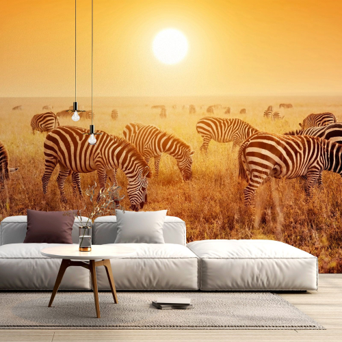 Papier peint panoramique - Zèbres Savane