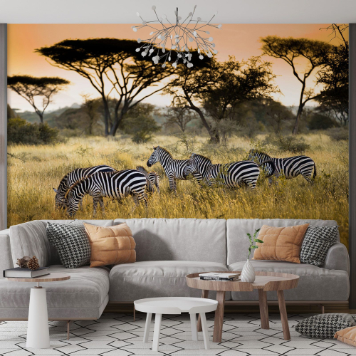 Papier peint panoramique - Zèbres Savane