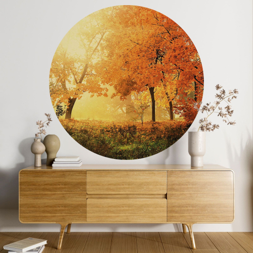 Papier peint rond / cercle - Automne
