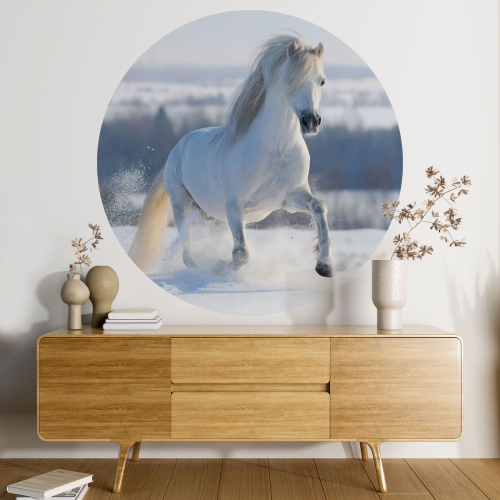 Papier peint rond / cercle - Cheval