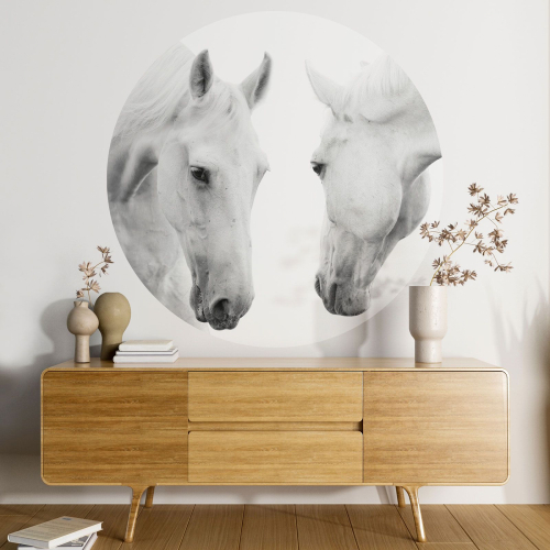 Papier peint rond / cercle - Chevaux