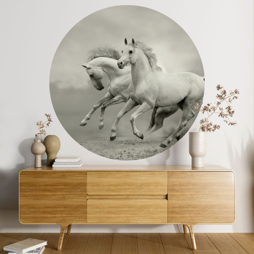 Papier peint rond / cercle - Chevaux