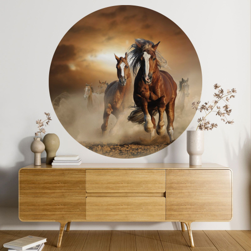 Papier peint rond / cercle - Chevaux