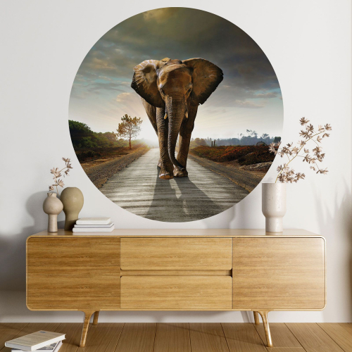 Papier peint rond / cercle - Eléphant