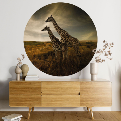 Papier peint rond / cercle - Girafes