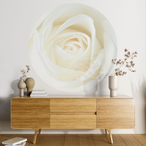 Papier peint rond / cercle - Rose